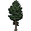 Thumbnail for version as of 10:32, 20 May 2025