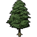 Thumbnail for version as of 10:33, 20 May 2025